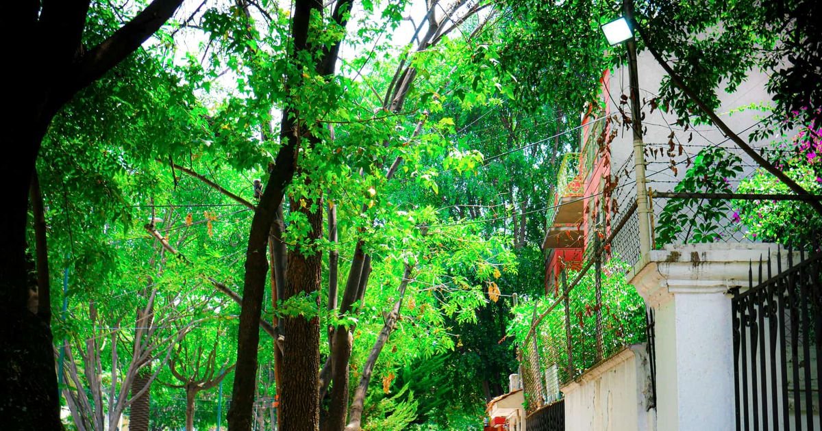 CDMX Rent Cap: Regulations in Effect for 2026